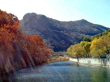 基基最新，自然美景的轻松探索之旅