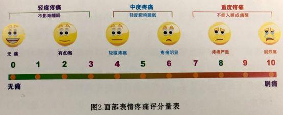 建筑砌块销售 第467页