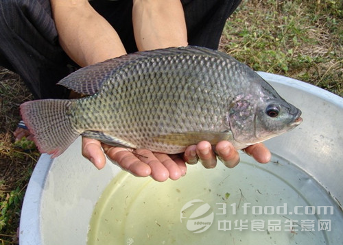 建筑砌块制造 第458页