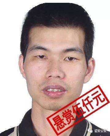 轻质建筑材料制造 第444页