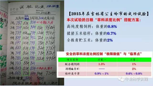 管家婆2024资料精准大全,精细化实施分析_DFO9.546潮流版