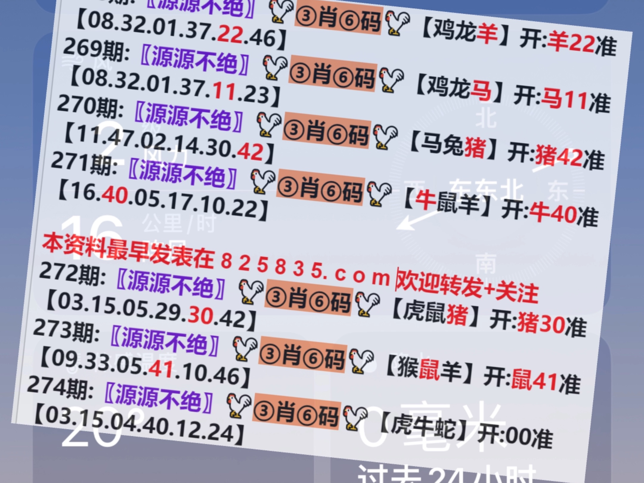 2024年新澳门王中王开奖结果,全身心数据计划_EPU58.681潮流版