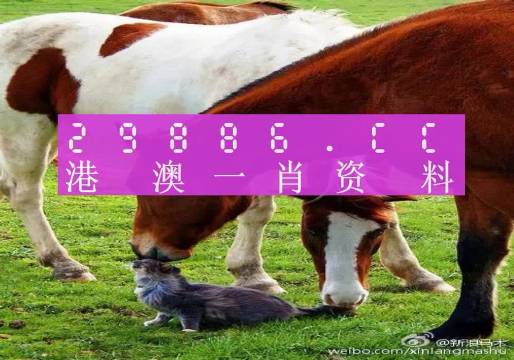 奥门一肖一码一中一,动态解读分析_娱乐版90.236