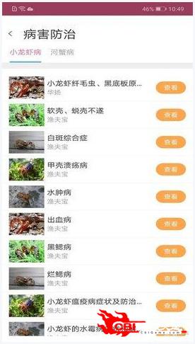 惠泽天下资料大全免费手机版,深入研究执行计划_随身版81.464