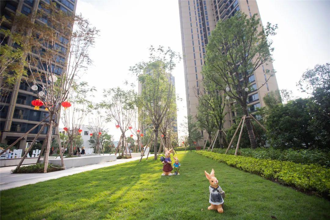 深茂铁路最新进展，中山段的飞驰之旅与城市的自信蜕变
