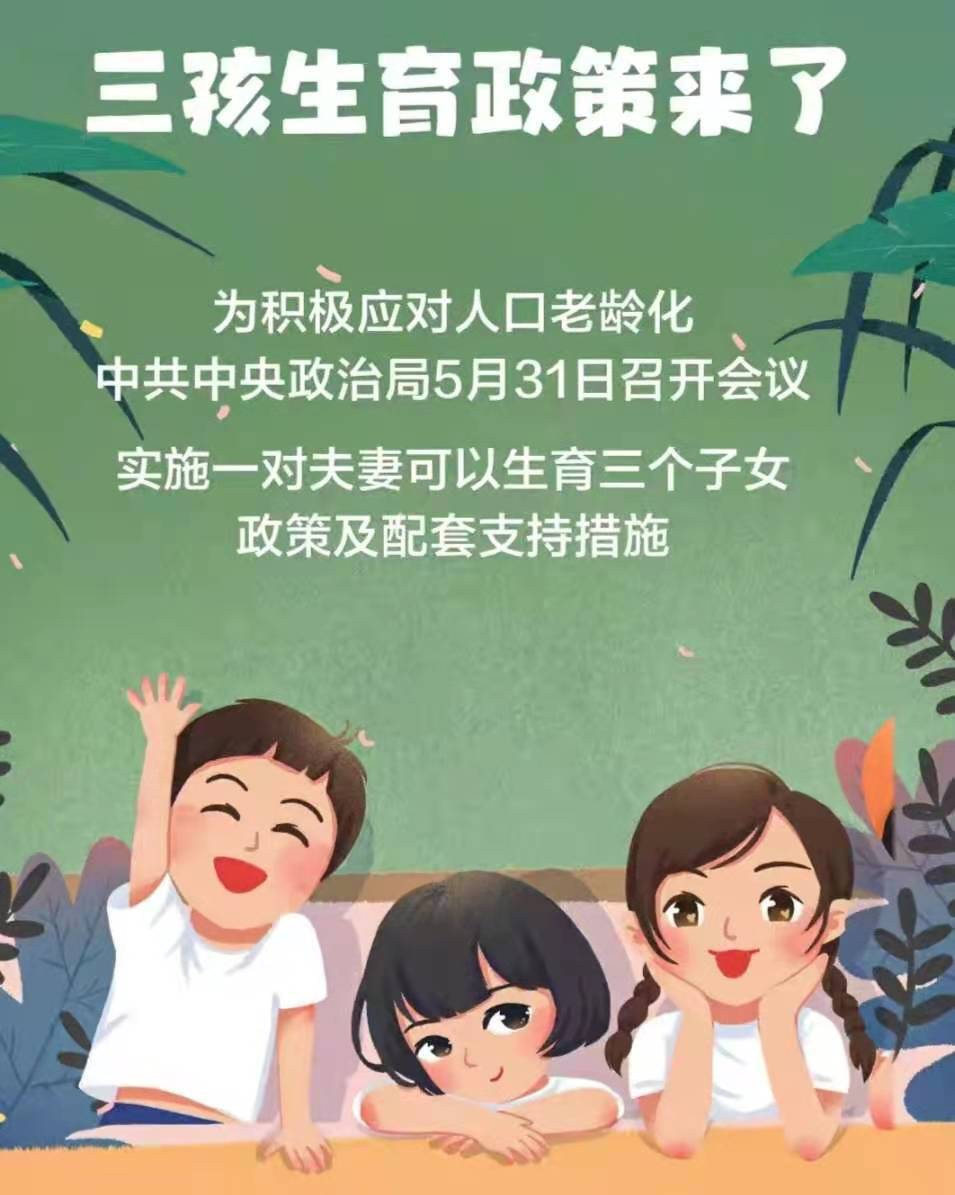 轻质建筑材料制造 第365页