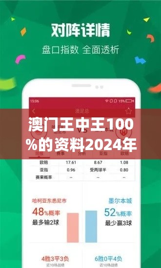 2024新澳门王中王正版,现况评判解释说法_1440p37.824