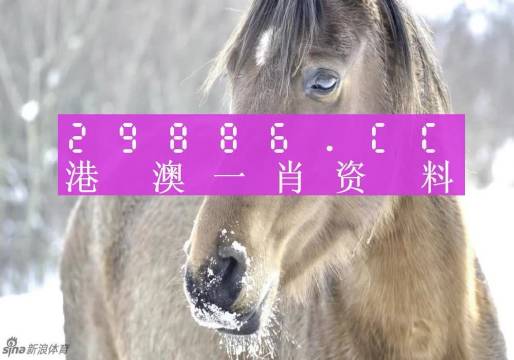 澳门一肖一码100准免费,专业解读评估_安全版63.512