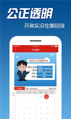 王中王一码一肖一特一中2024年,数据详解说明_寻找版4.112