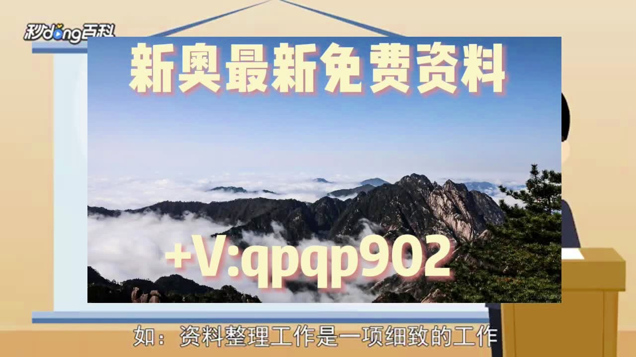 2024新澳正版免费资料大全,最新答案诠释说明_光辉版28.553
