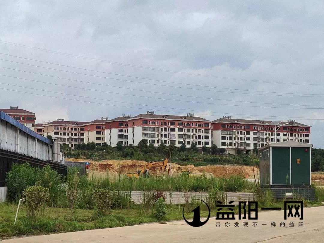 益阳市一园两中心最新动态，绿色引擎推动城市发展