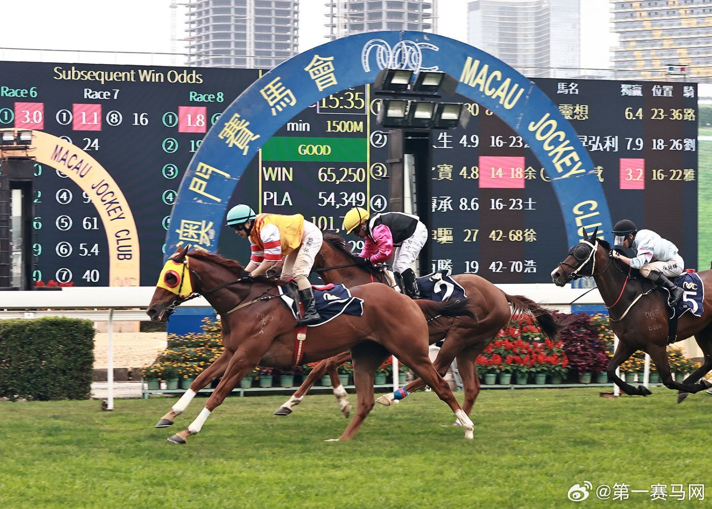 2024香港赛马全年免费资料,数据驱动方案_创新版85.365