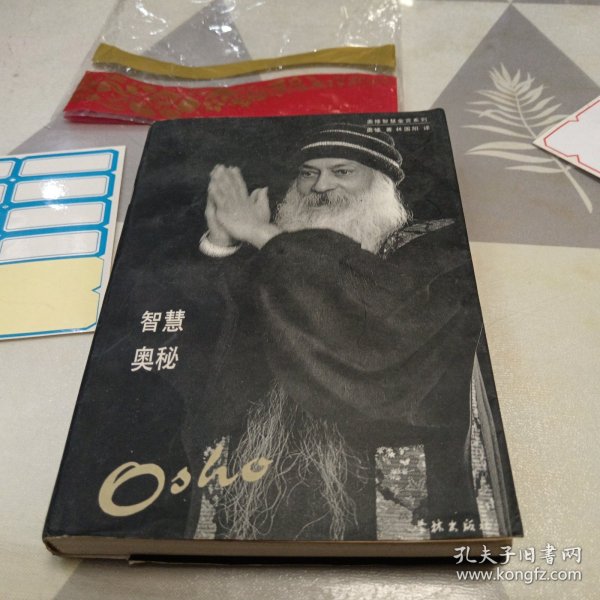 奥修最全最新，小巷中的隐藏瑰宝揭秘