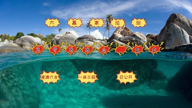 新澳门天天开彩结果出来,专业调查具体解析_启动版71.742
