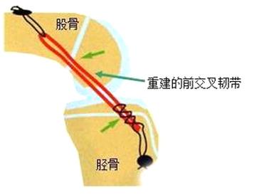 轻质建筑材料销售 第297页