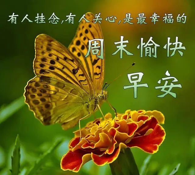 轻质建筑材料销售 第290页