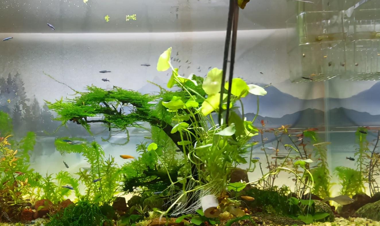 建筑砌块销售 第250页