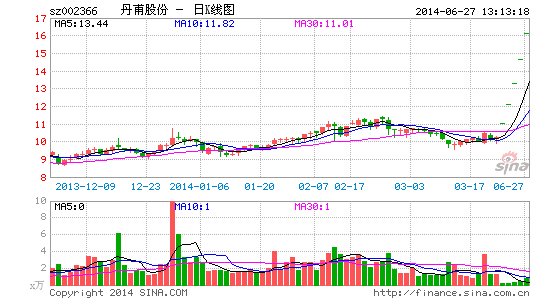 郑丹股份股票行情,郑丹股份股票行情大揭秘📈
