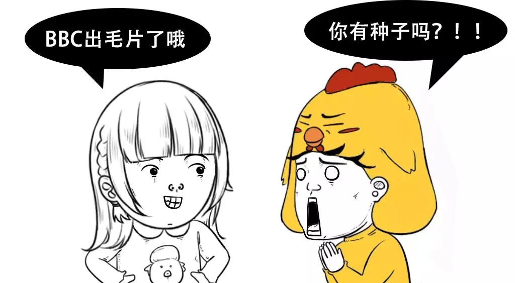 经典最新毛片,关于经典最新毛片的观点阐述