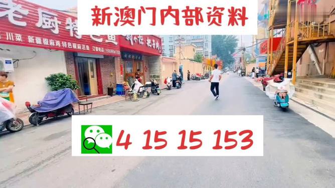 ＂2024澳门天天开好彩大全最新版本＂的：全身心数据计划_原汁原味版2.22