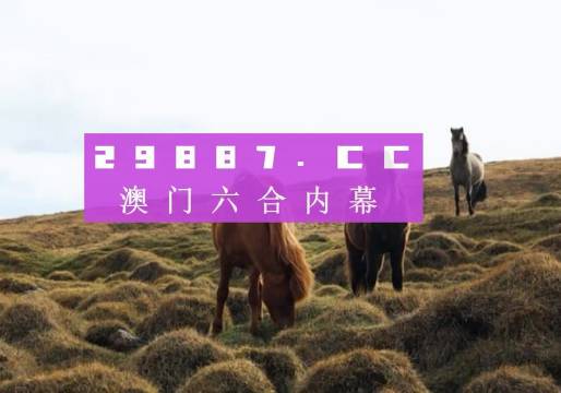 ＂2024澳门特马今晚开奖图纸＂的：实地研究解答协助_味道版6.46