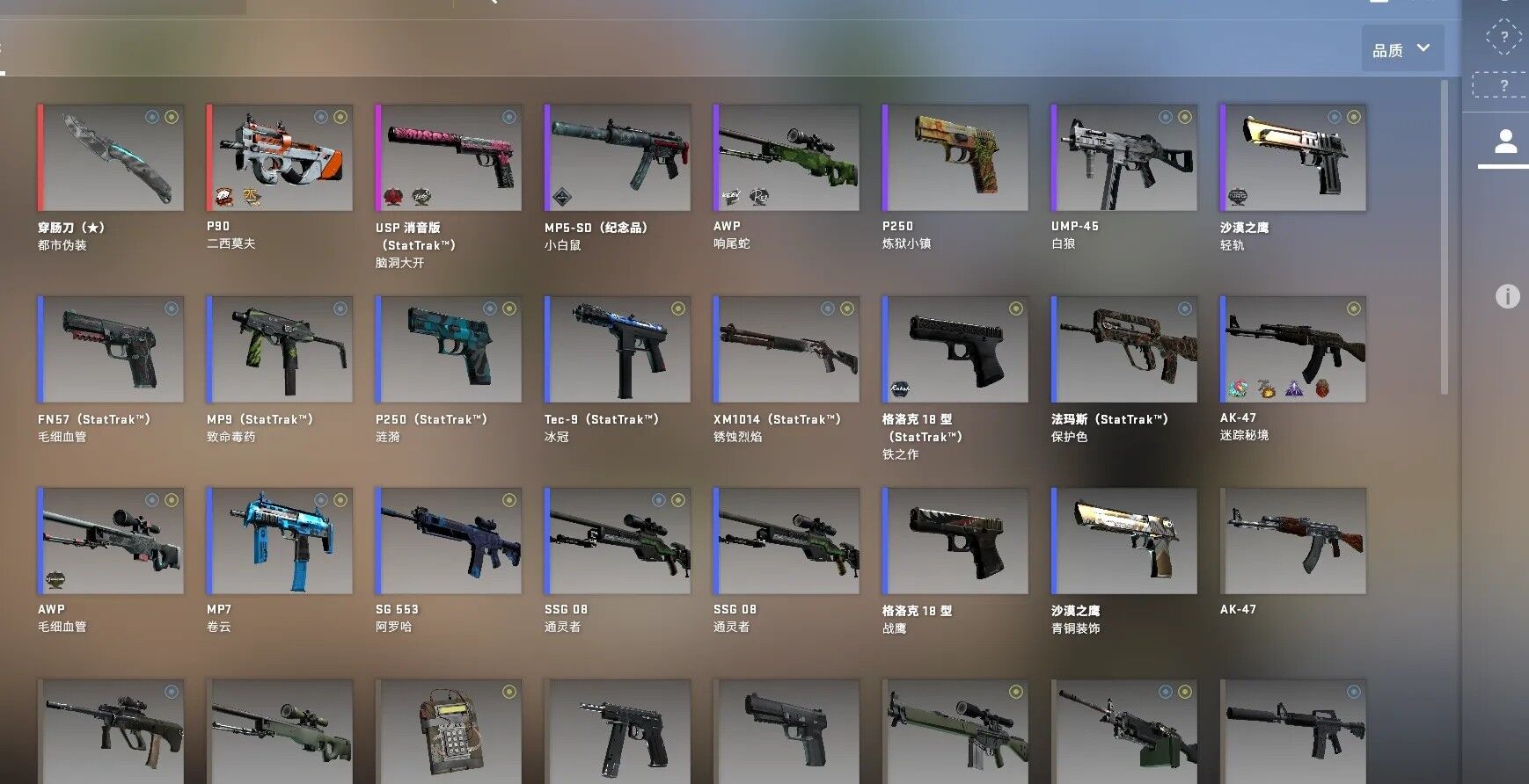 CSGO皮肤价格查询网，初学者与进阶用户指南全解析