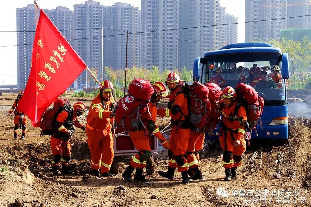 最新地震资讯与小巷深处的独特小店探秘