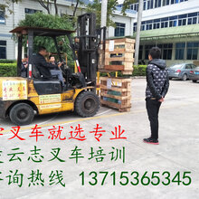 抱车价格深度解析与科普指南