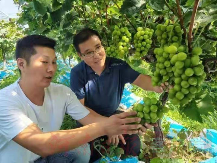 音乐上市公司，心灵与自然的交响之旅体验