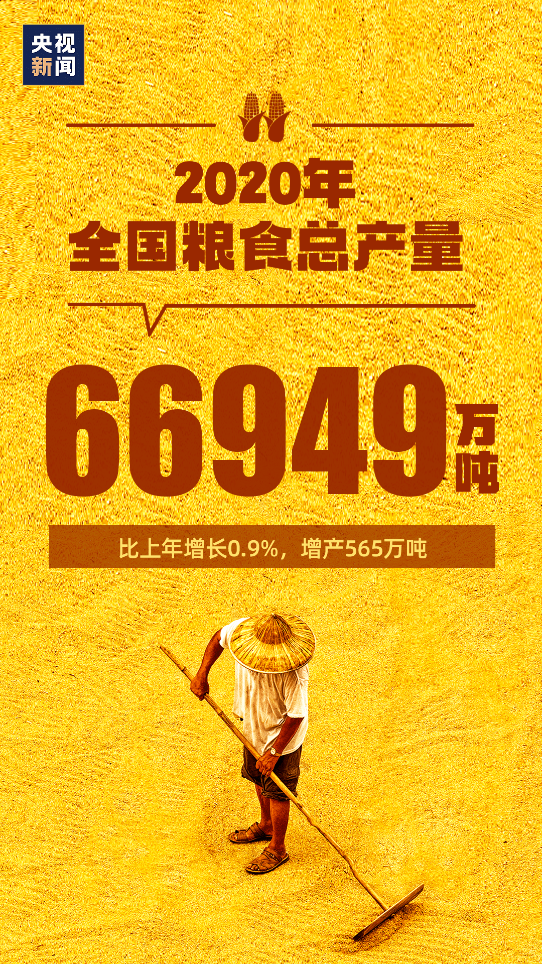 ＂2025澳门天天开好彩挂牌＂的：灵活执行方案_拍照版2.29
