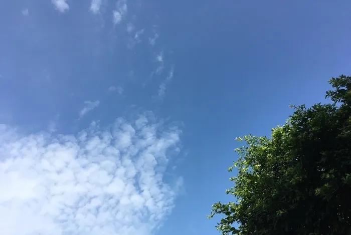 德州最新天气预报，科技革新重塑天气预报体验