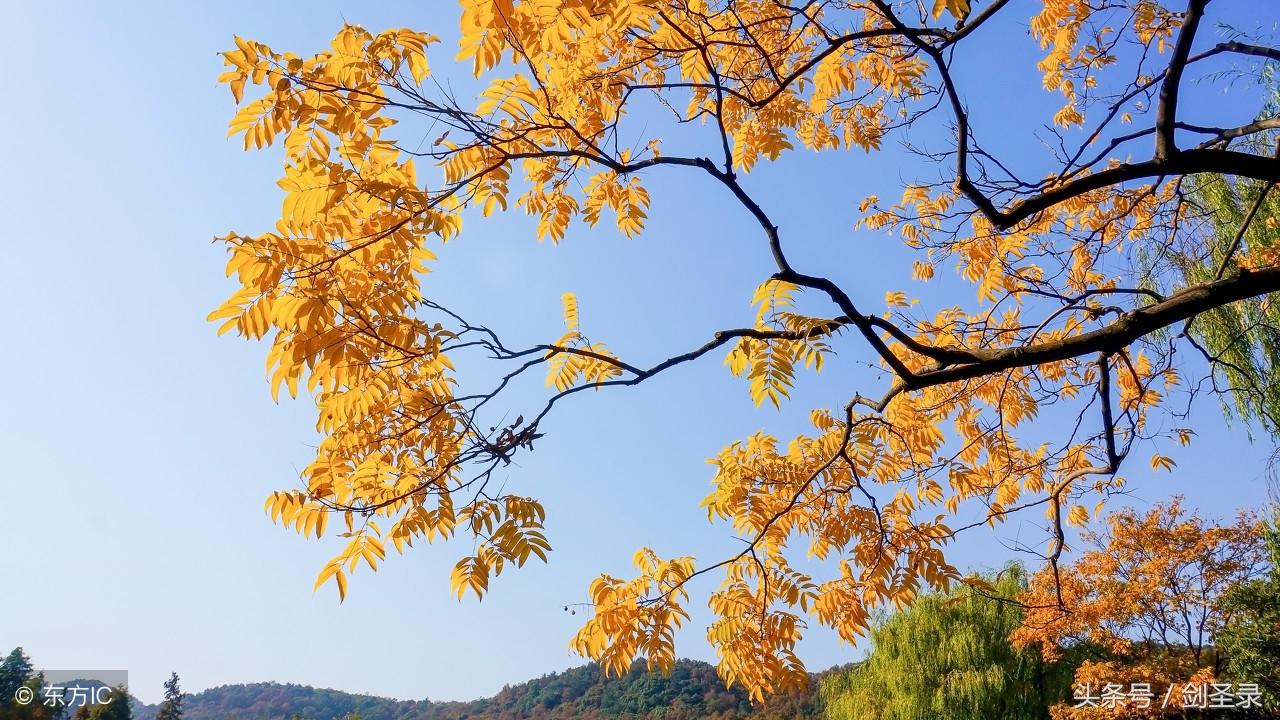 建筑砌块销售 第38页
