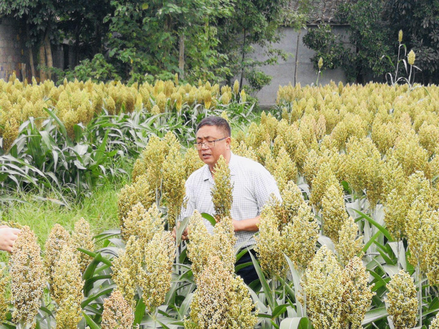 轻质建筑材料制造 第35页