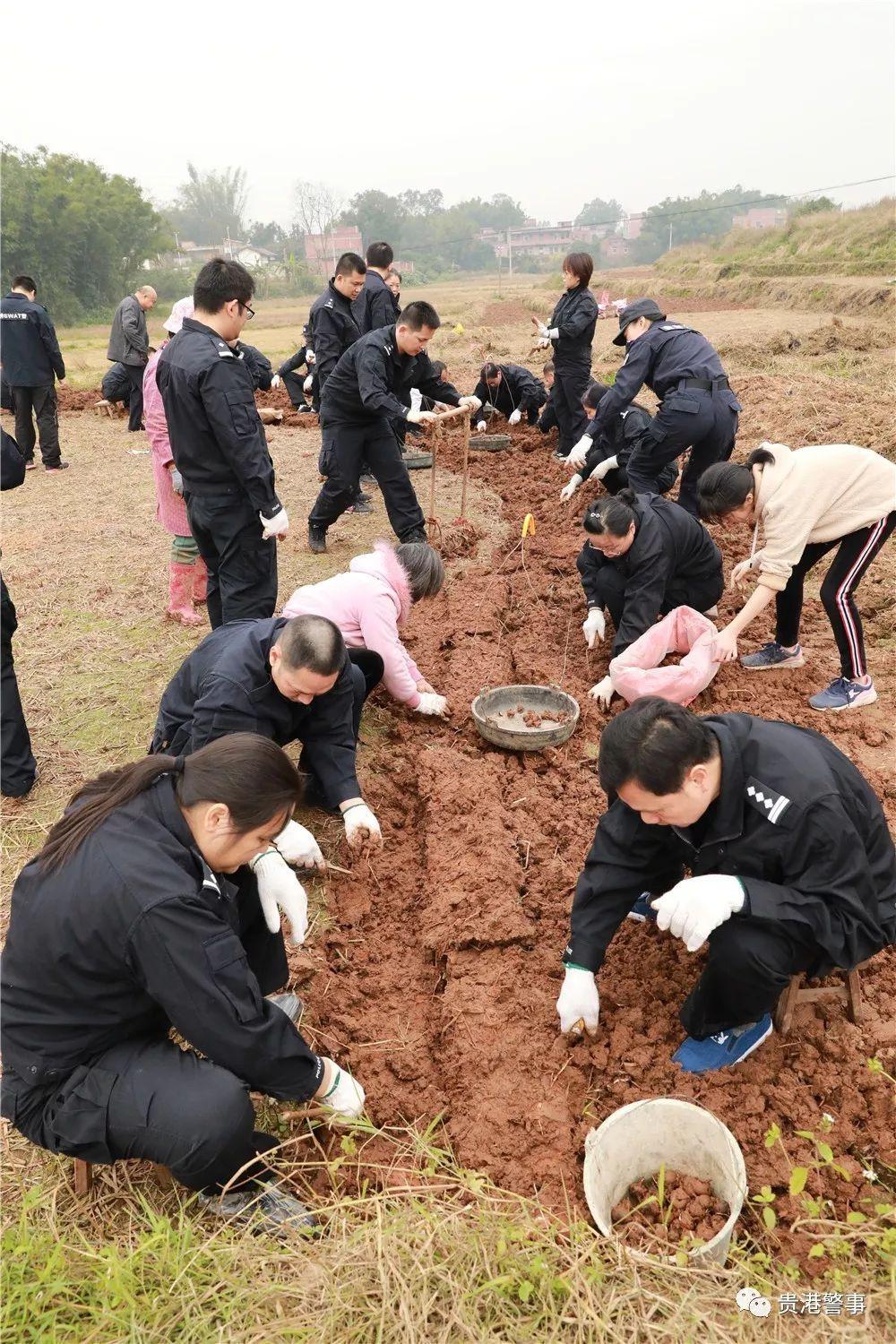 轻质建筑材料销售 第27页